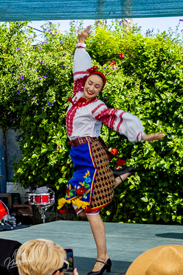 Annual Ukrainian Festival in Los Angeles. 2023