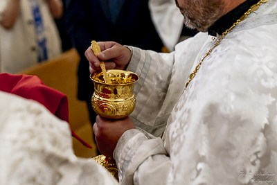 Paschal Matins and Blessing Baskets with His Eminence Archbishop Daniel Zelinsky.