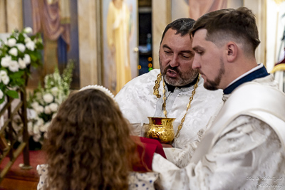 Paschal Matins and Blessing Baskets with His Eminence Archbishop Daniel Zelinsky.